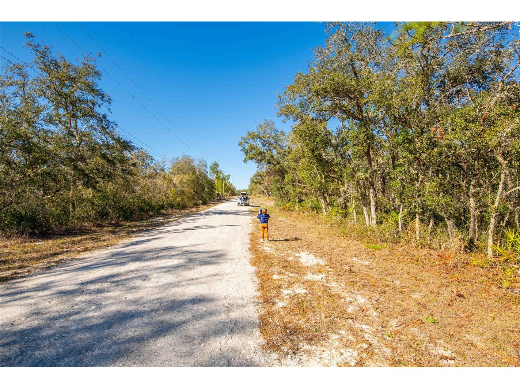 8149 Renova Drive Webster FL 33597 TB8357288 image13