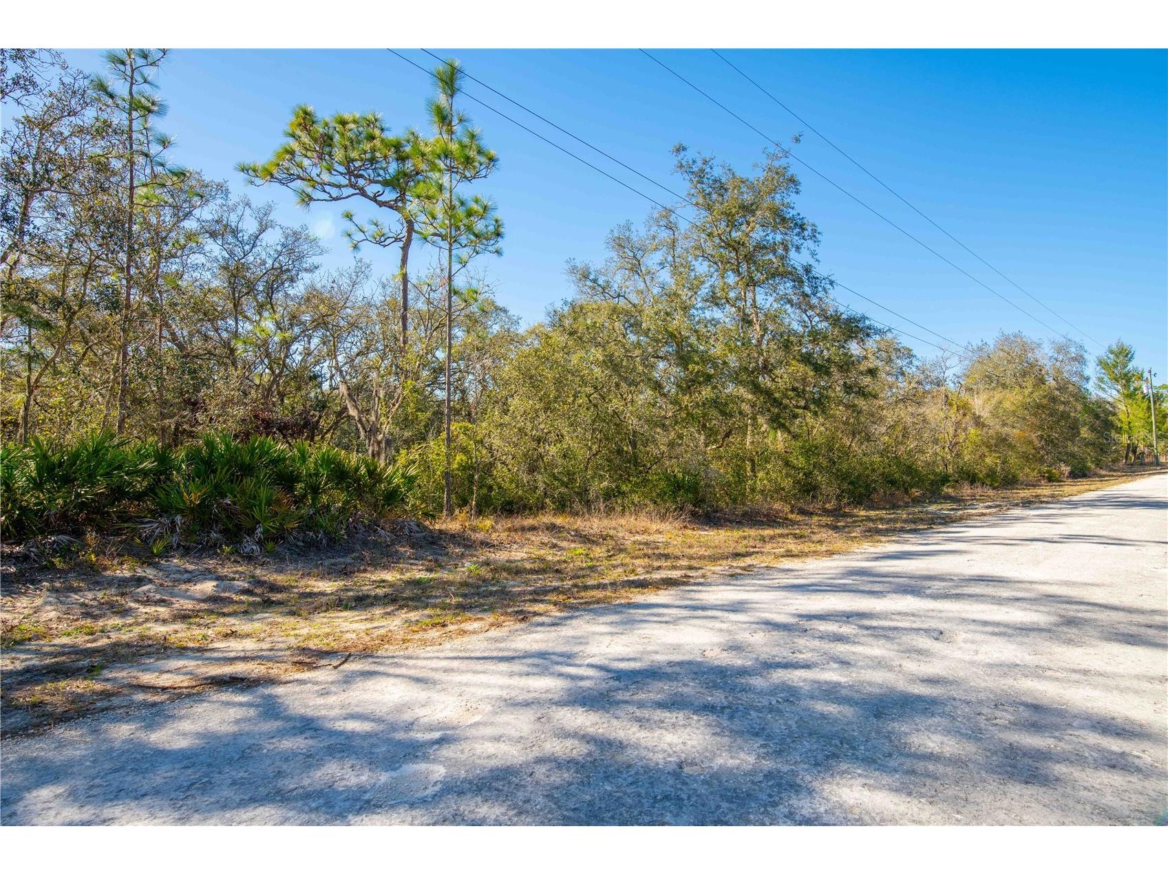 8149 Renova Drive Webster FL 33597 TB8357288 image14