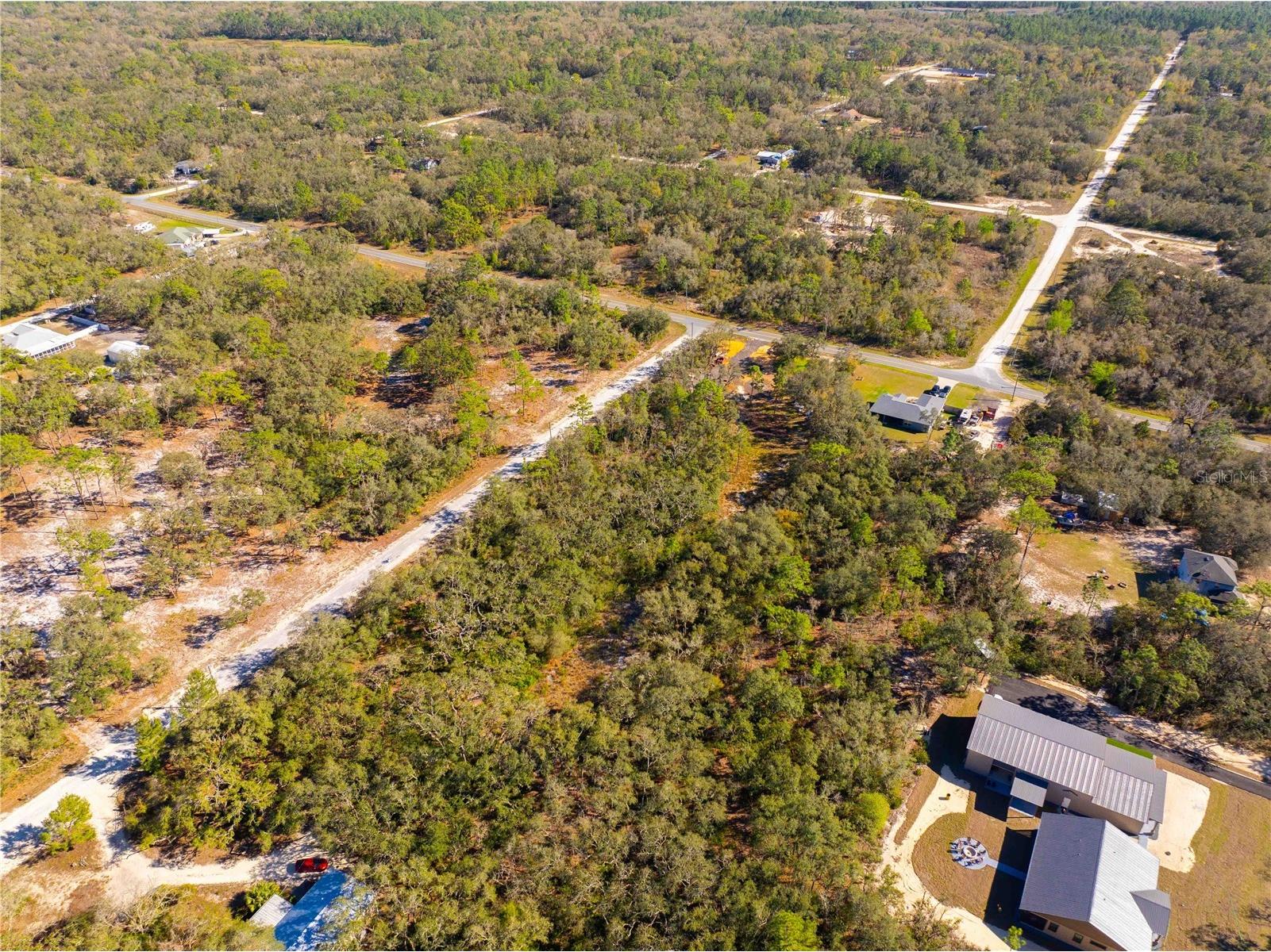 8149 Renova Drive Webster FL 33597 TB8357288 image3