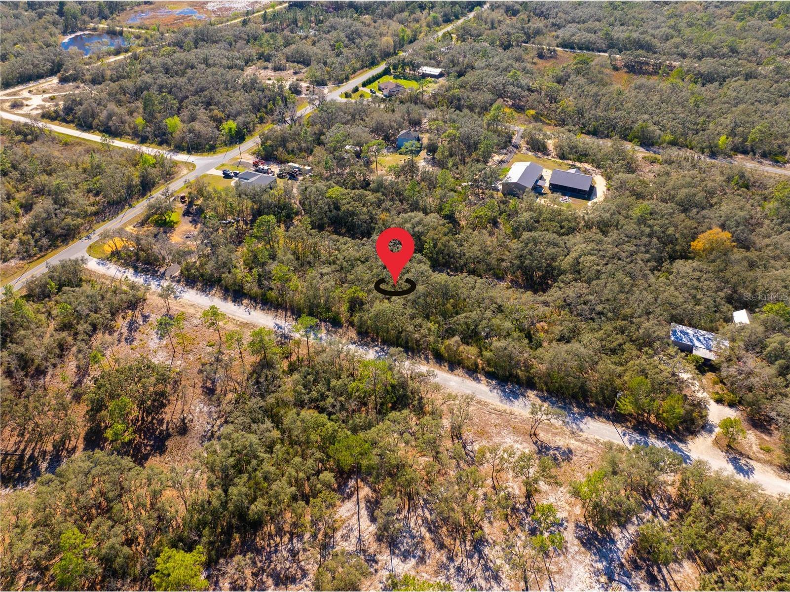 8149 Renova Drive Webster FL 33597 TB8357288 image4