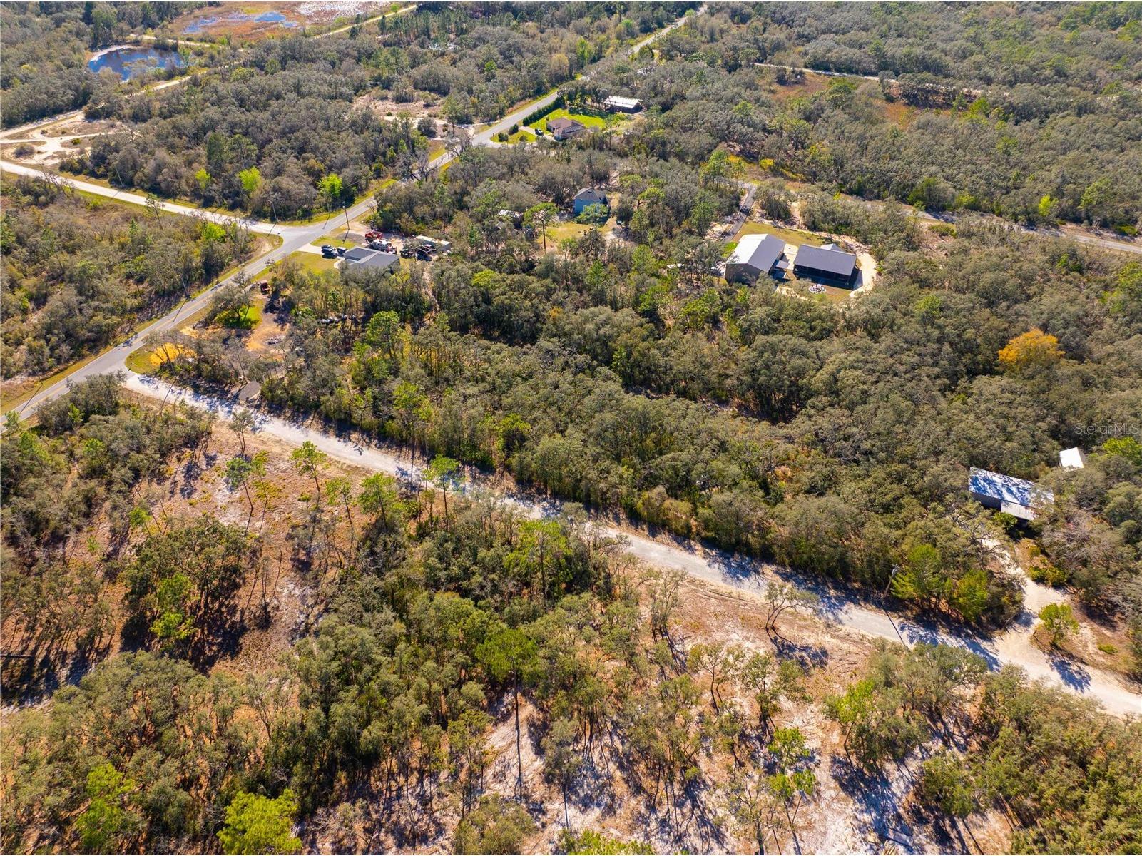 8149 Renova Drive Webster FL 33597 TB8357288 image5