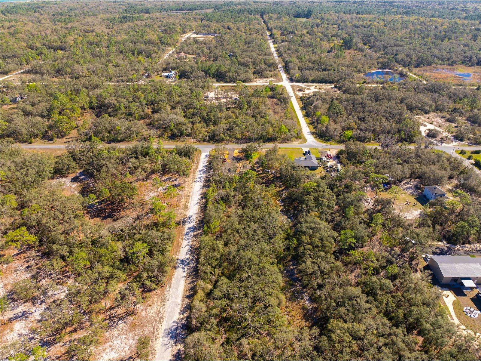 8149 Renova Drive Webster FL 33597 TB8357288 image6