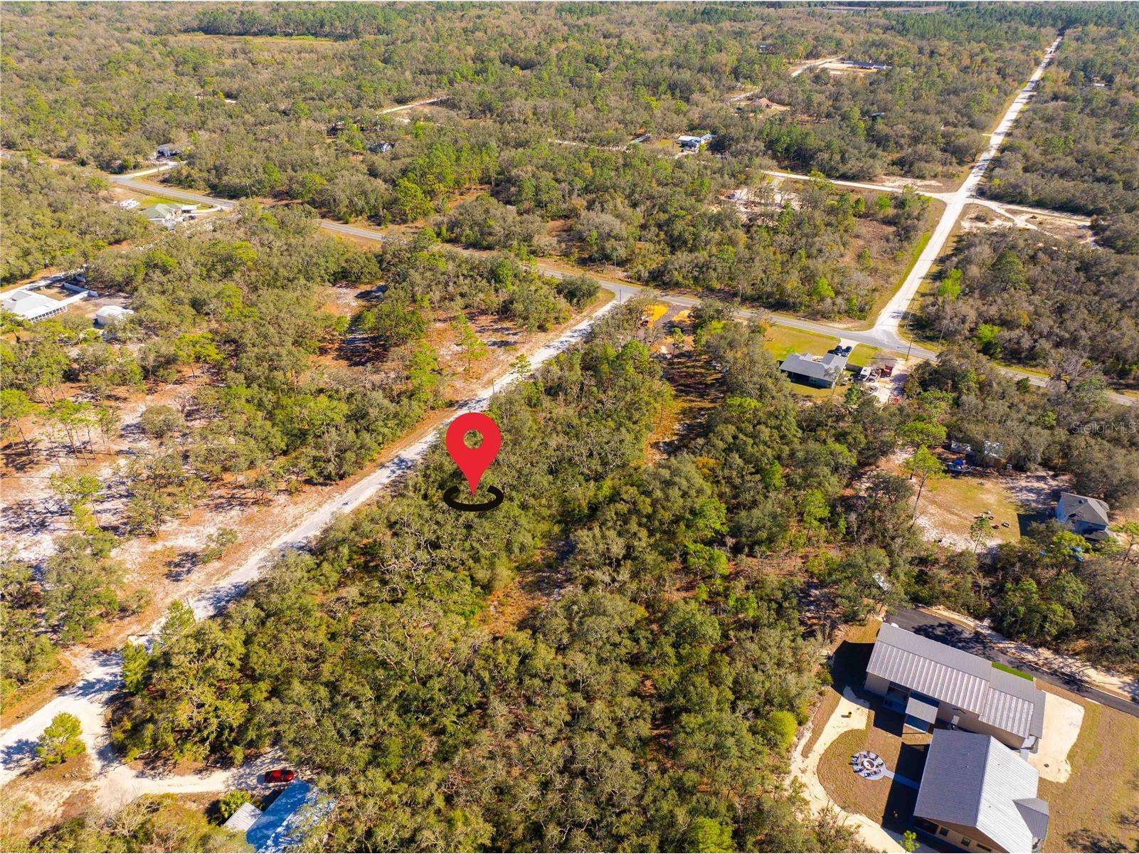 8149 Renova Drive Webster FL 33597 TB8357288 image7