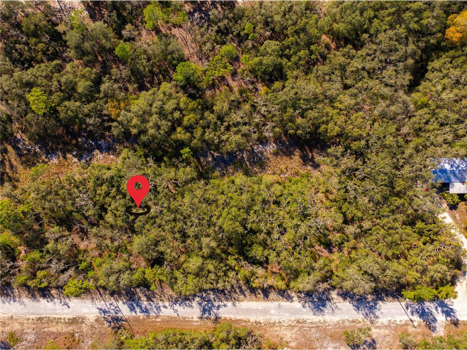 8149 Renova Drive Webster FL 33597 TB8357288 image9