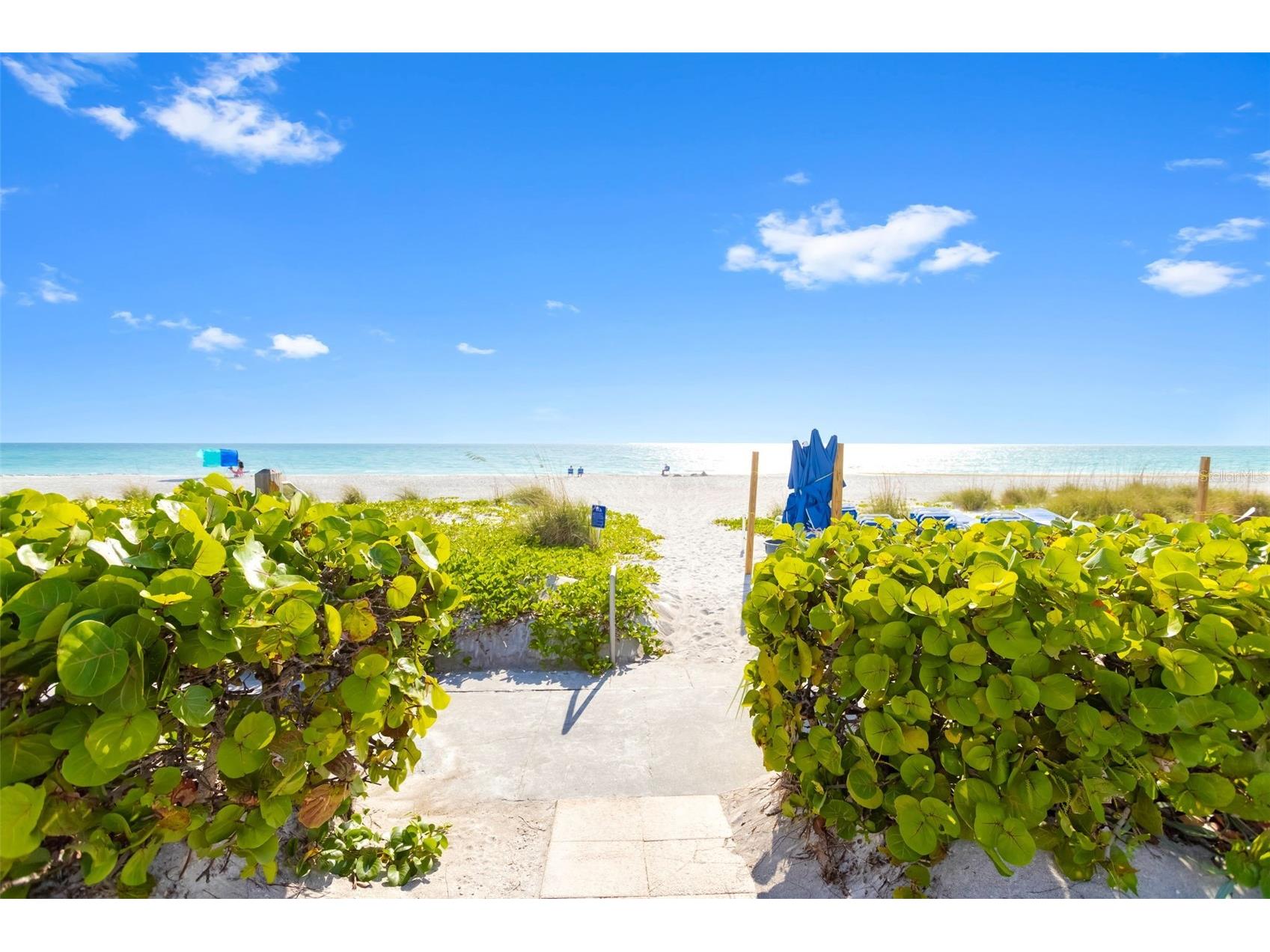 815 Bayport Way #815 Longboat Key FL 34228 - SARASOTA BAY A4689278 image37