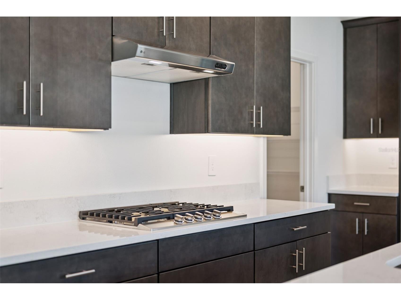 815 Emerald Grove Drive Apopka FL 32703 W7880711 image11