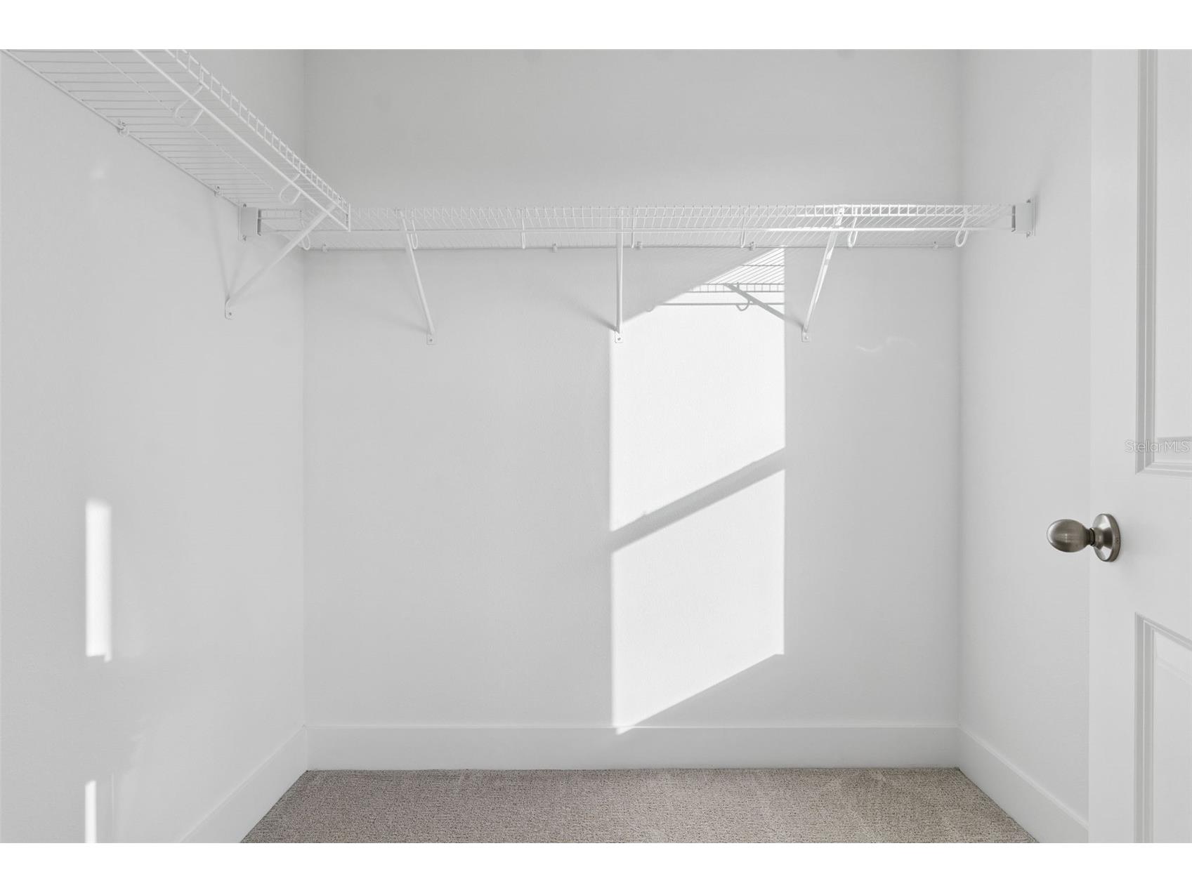 815 Emerald Grove Drive Apopka FL 32703 W7880711 image8