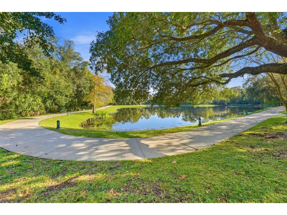 815 Lake Evalyn Drive Celebration FL 34747 - LAKE EVALYN S5138620 image65