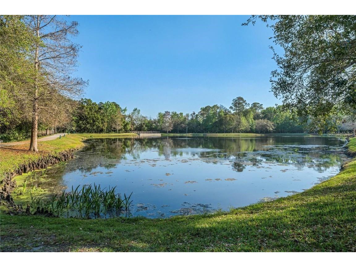 815 Lake Evalyn Drive Celebration FL 34747 - LAKE EVALYN S5138620 image66