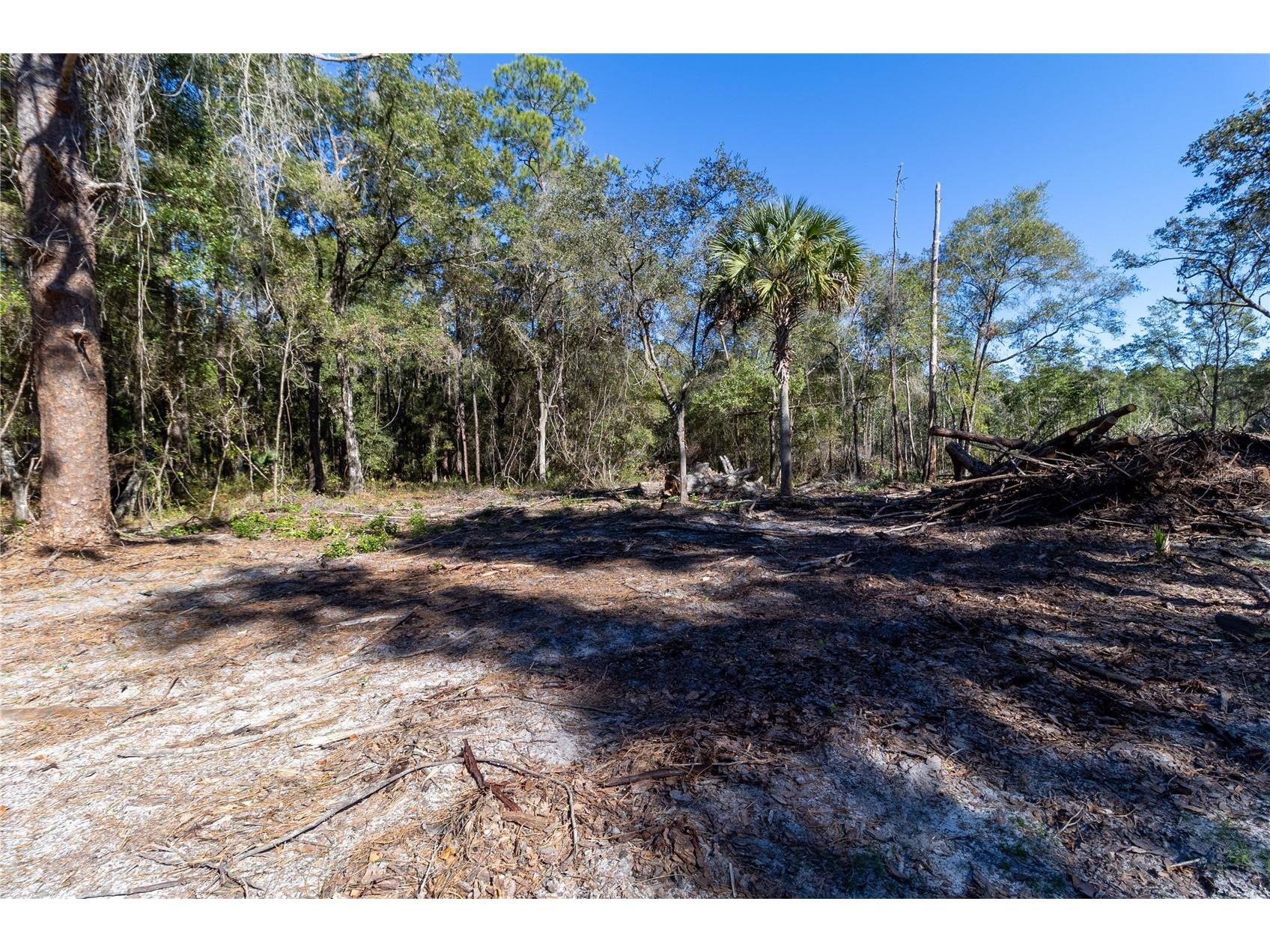 815 NE 145th Avenue Road Silver Springs FL 34488 GC536226 image15