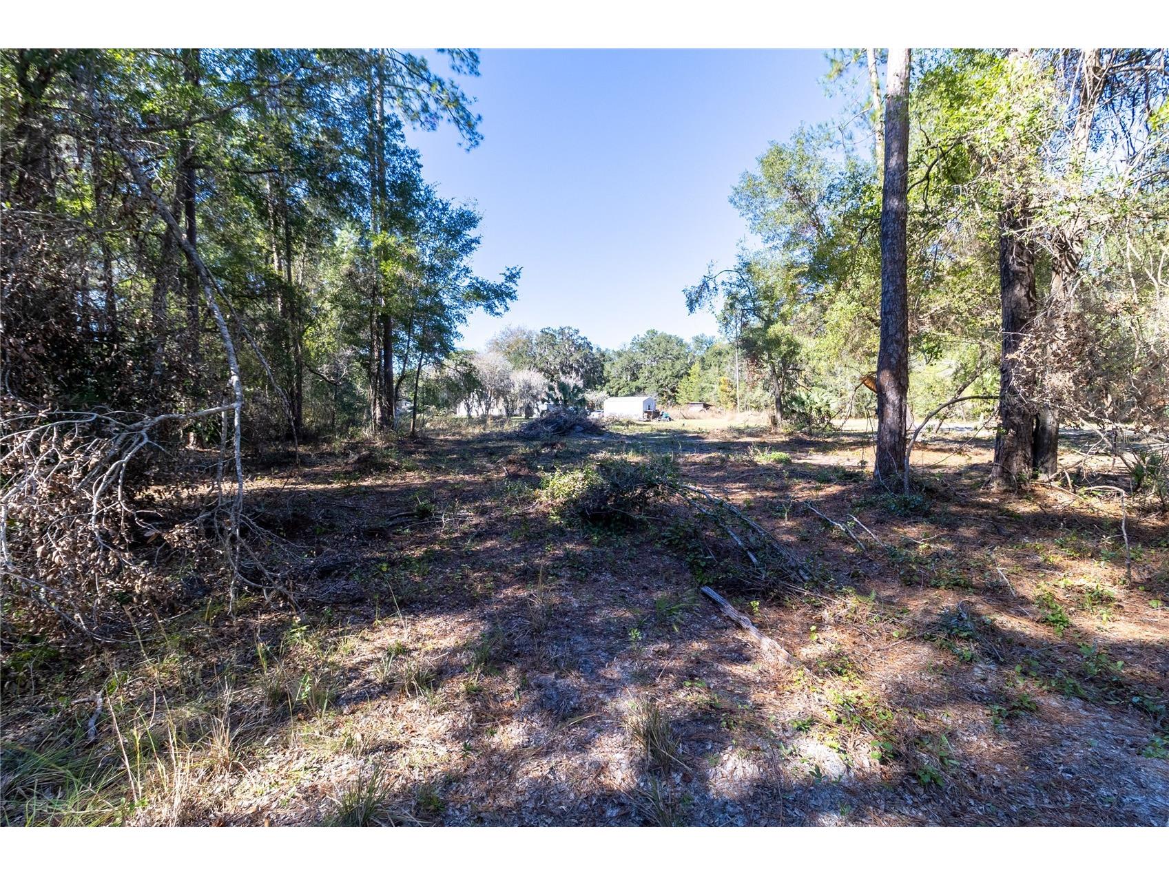 815 NE 145th Avenue Road Silver Springs FL 34488 GC536226 image18