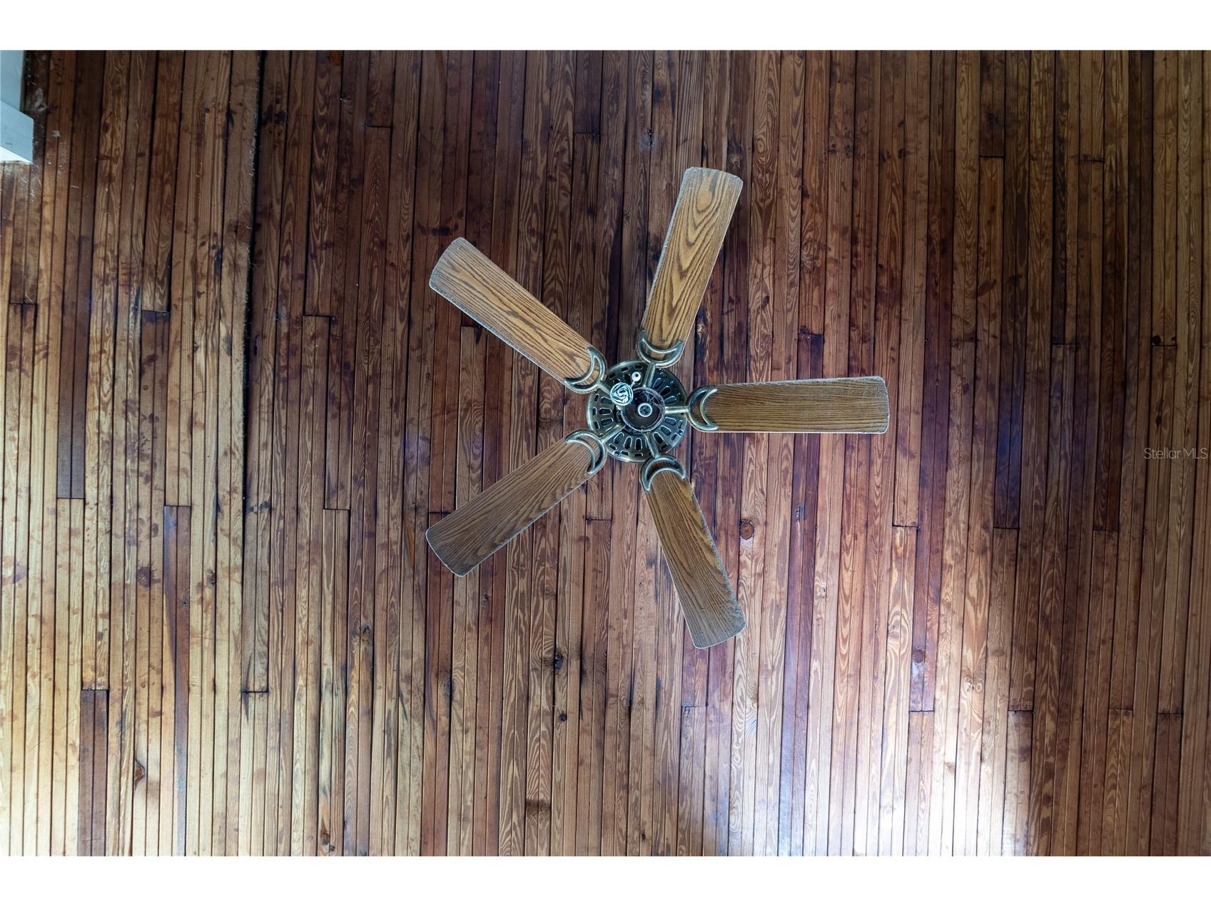 815 NE 145th Avenue Road Silver Springs FL 34488 GC536226 image37