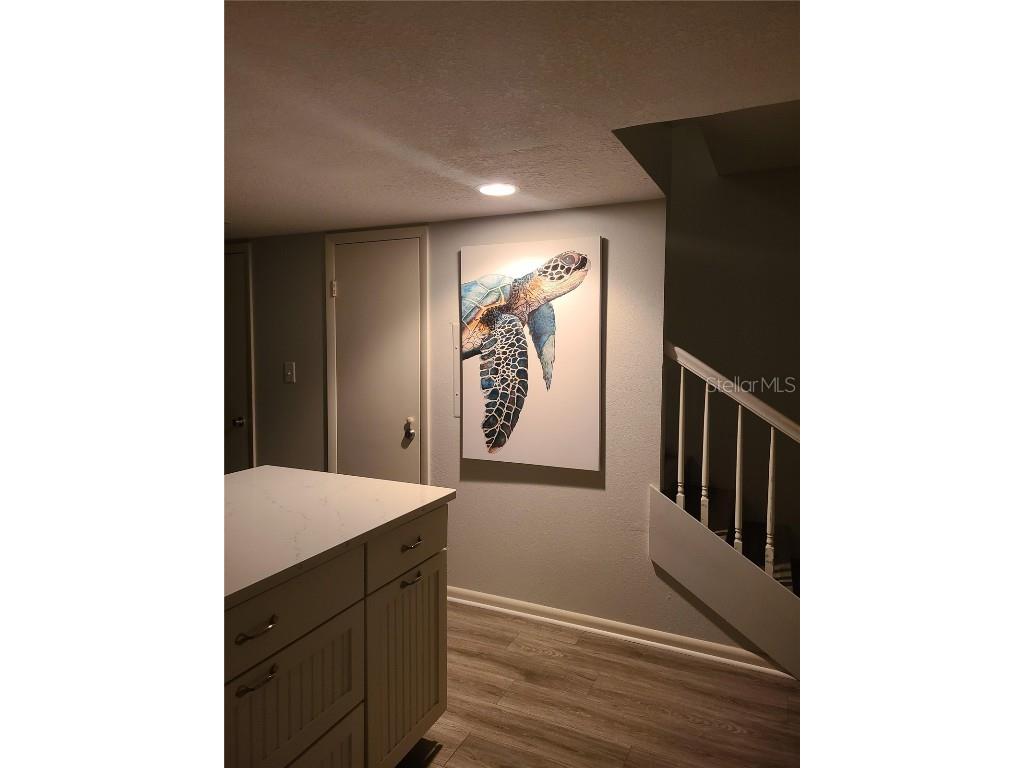 815 Ocean Shore Boulevard #12B Ormond Beach FL 32176 NS1086651 image5