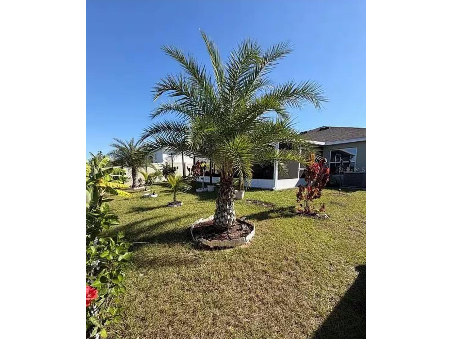 815 Ofanto Way Haines City FL 33844 O6413501 image20