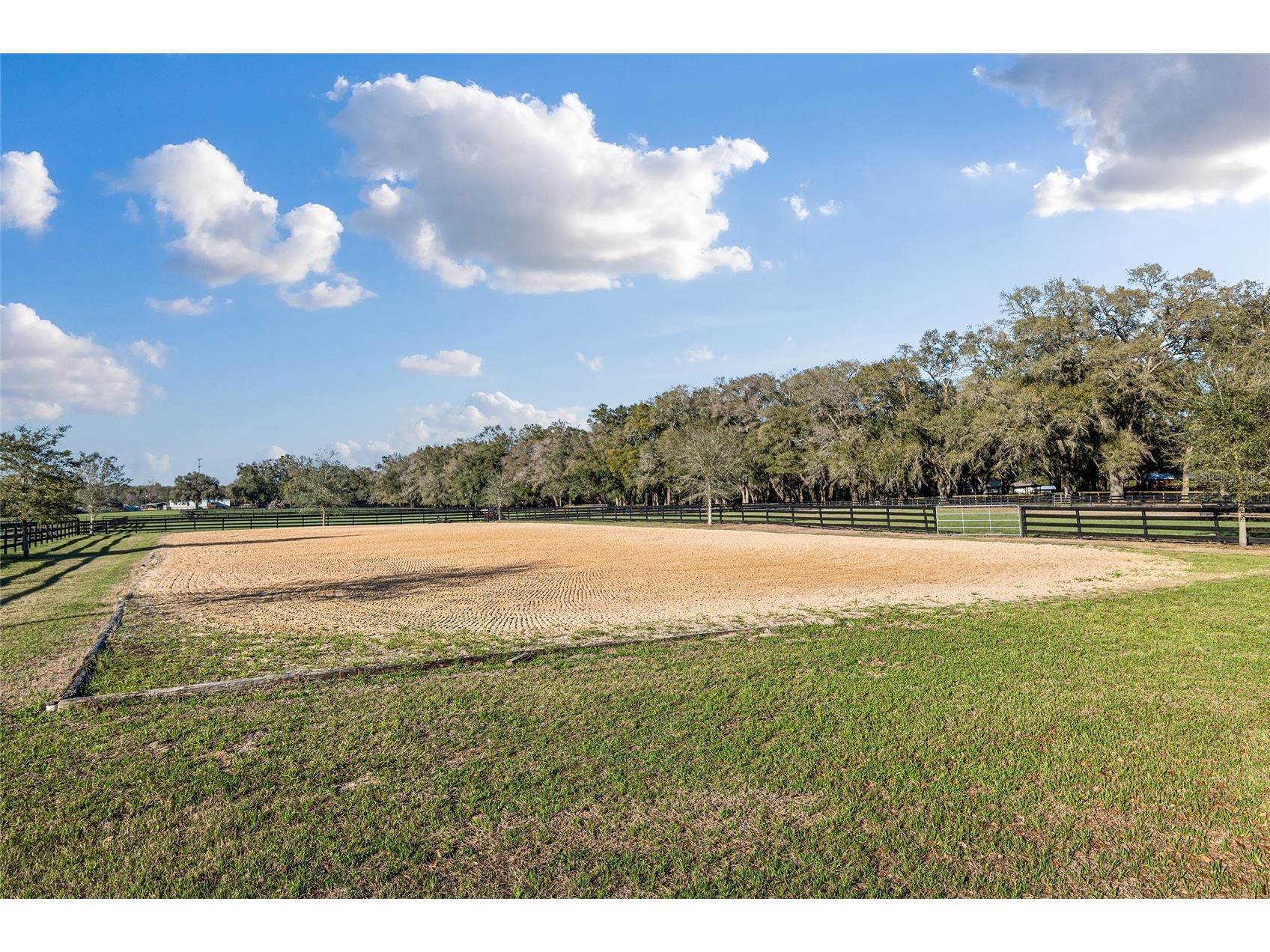 815 SE 145th Street Summerfield FL 34491 G5106690 image15