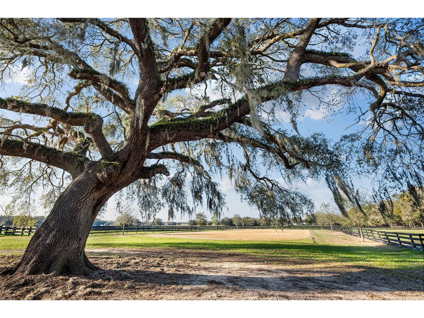 815 SE 145th Street Summerfield FL 34491 G5106690 image17