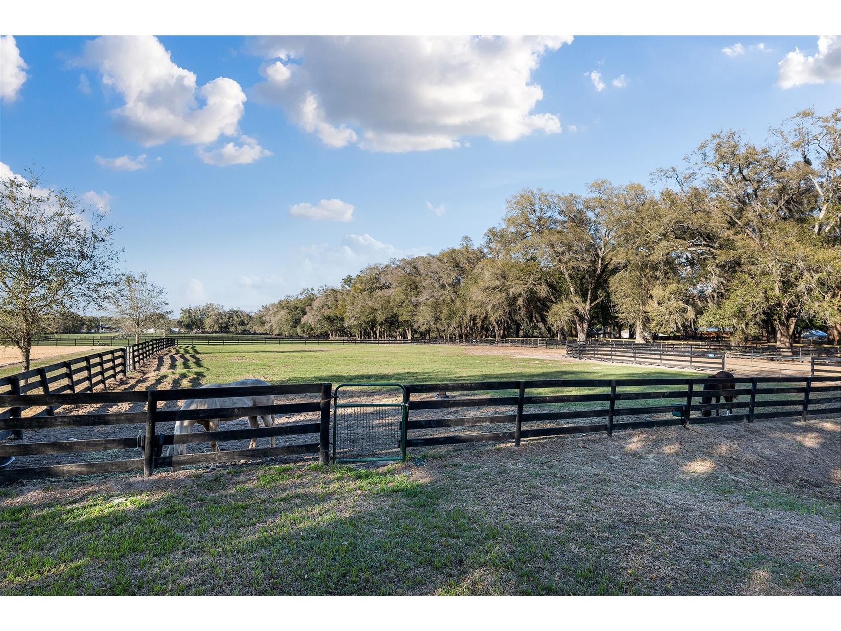 815 SE 145th Street Summerfield FL 34491 G5106690 image18