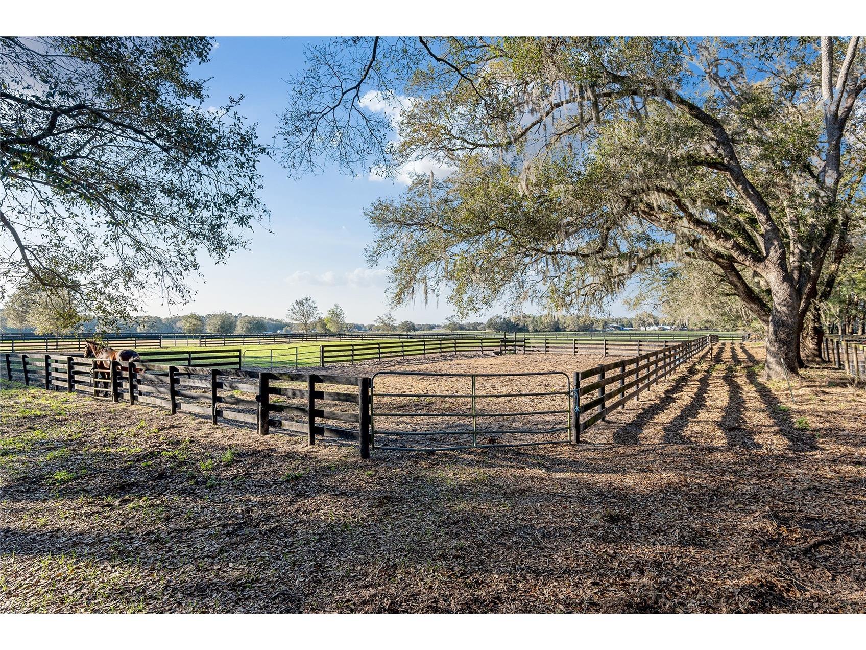 815 SE 145th Street Summerfield FL 34491 G5106690 image22