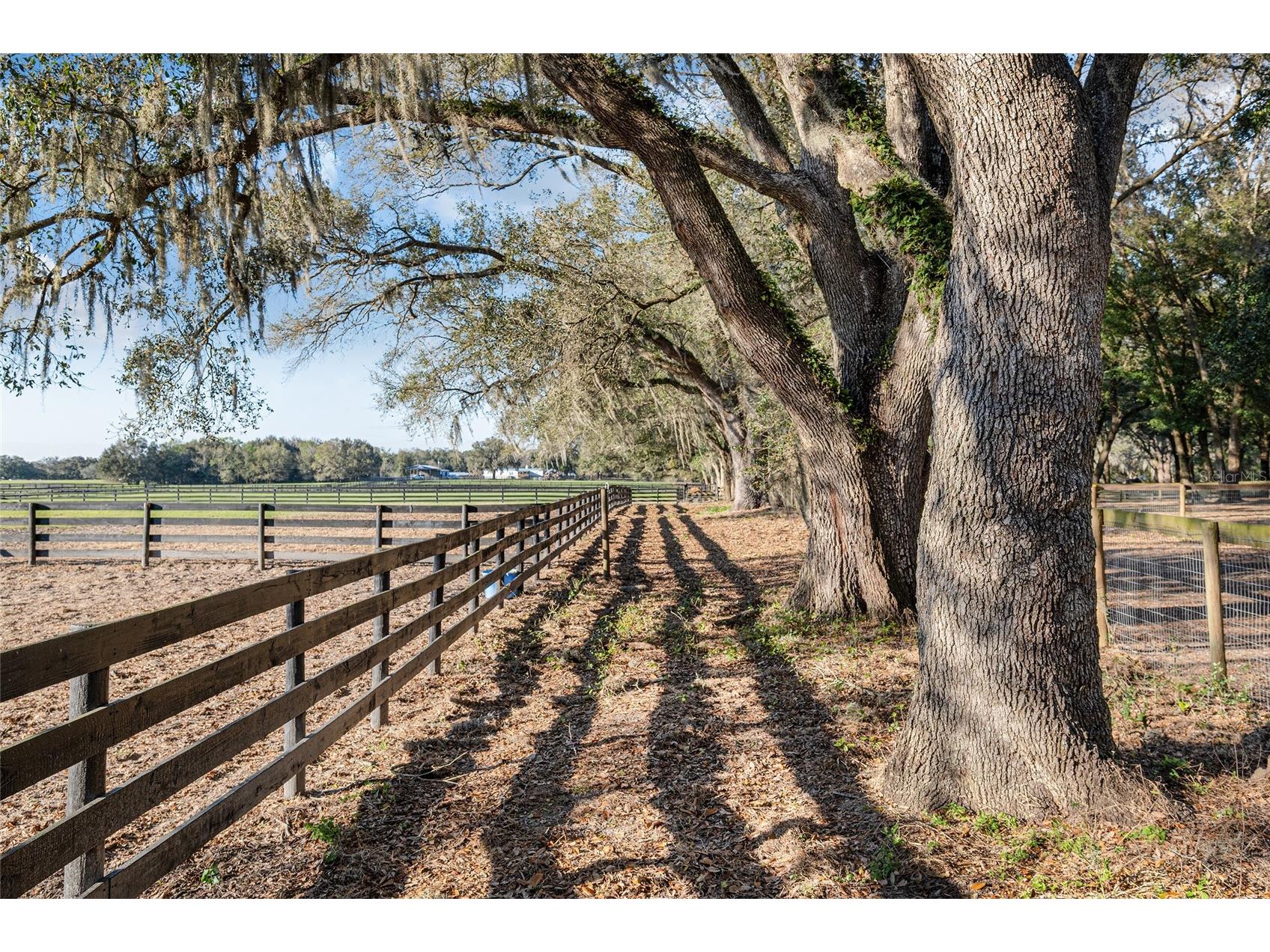 815 SE 145th Street Summerfield FL 34491 G5106690 image23