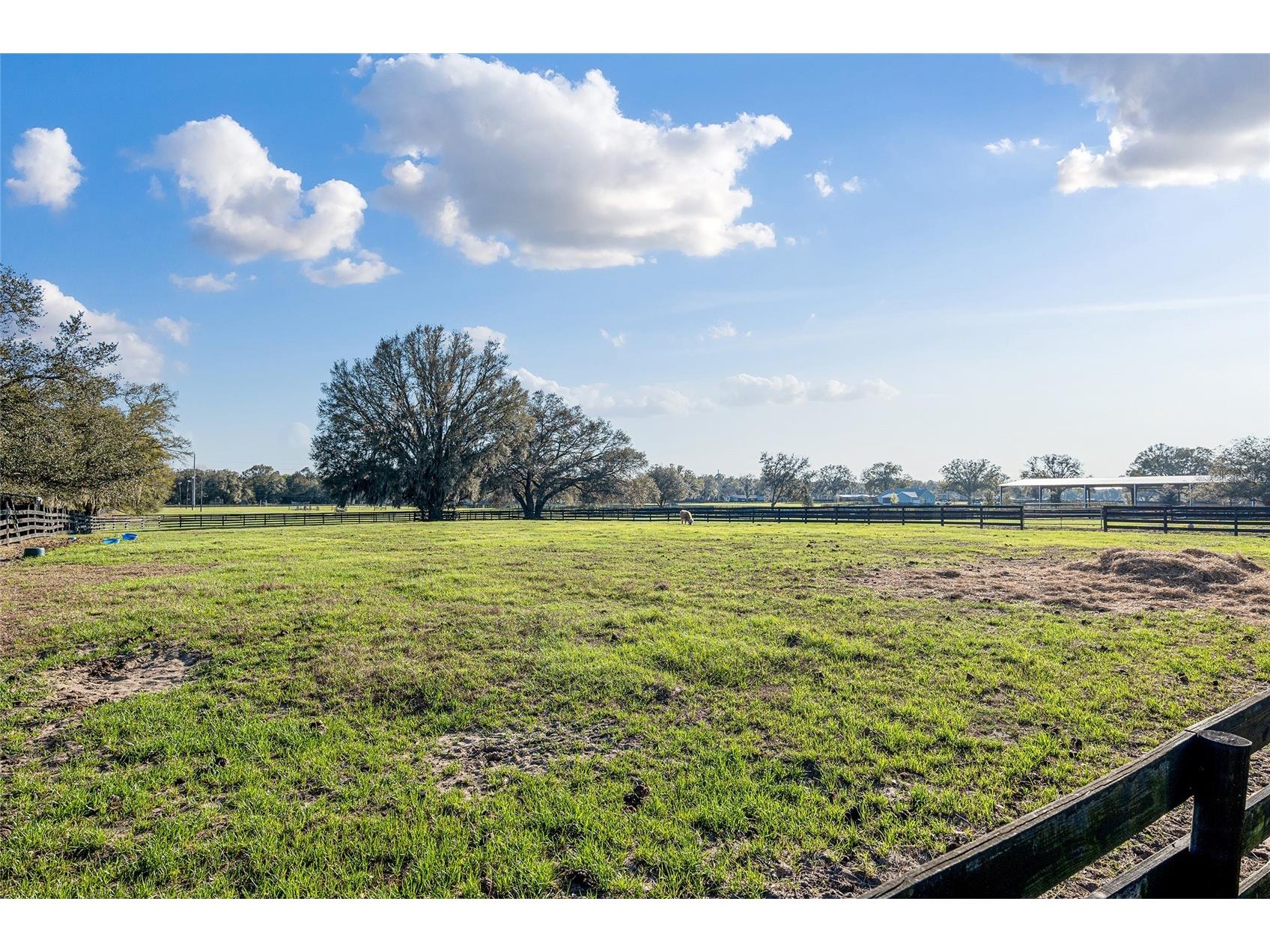 815 SE 145th Street Summerfield FL 34491 G5106690 image4