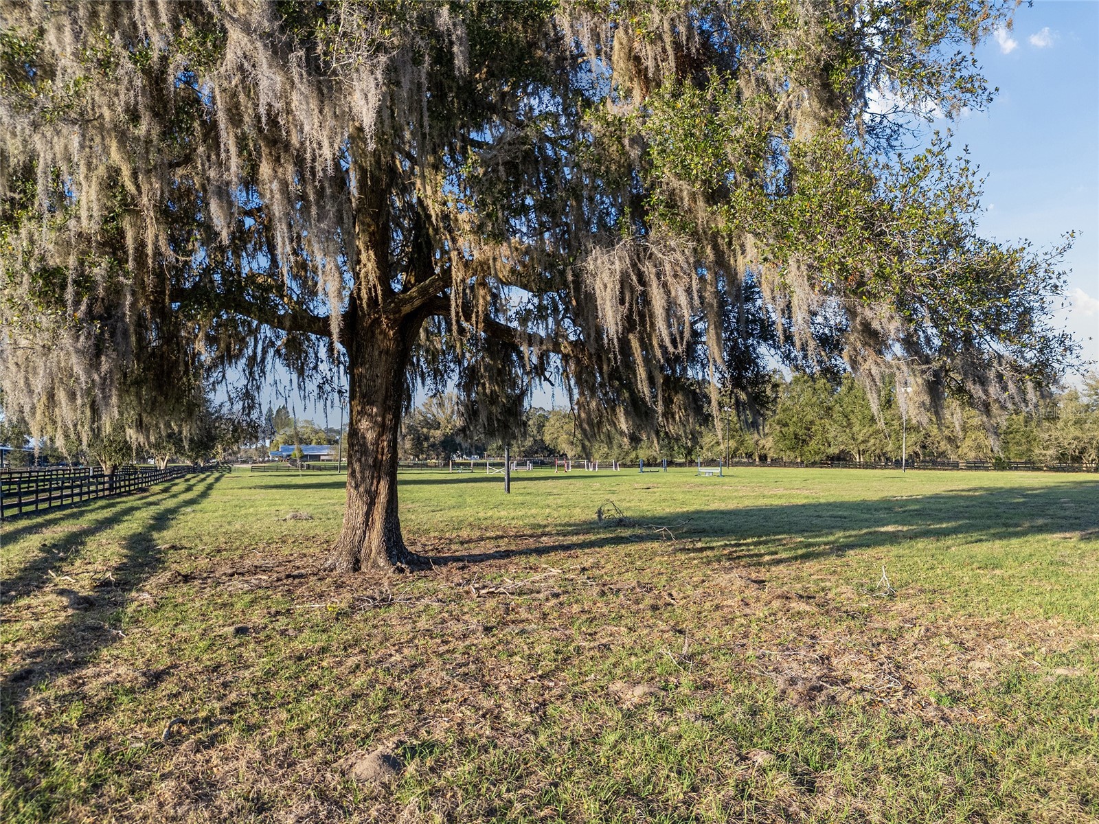 815 SE 145th Street Summerfield FL 34491 G5106690 image41