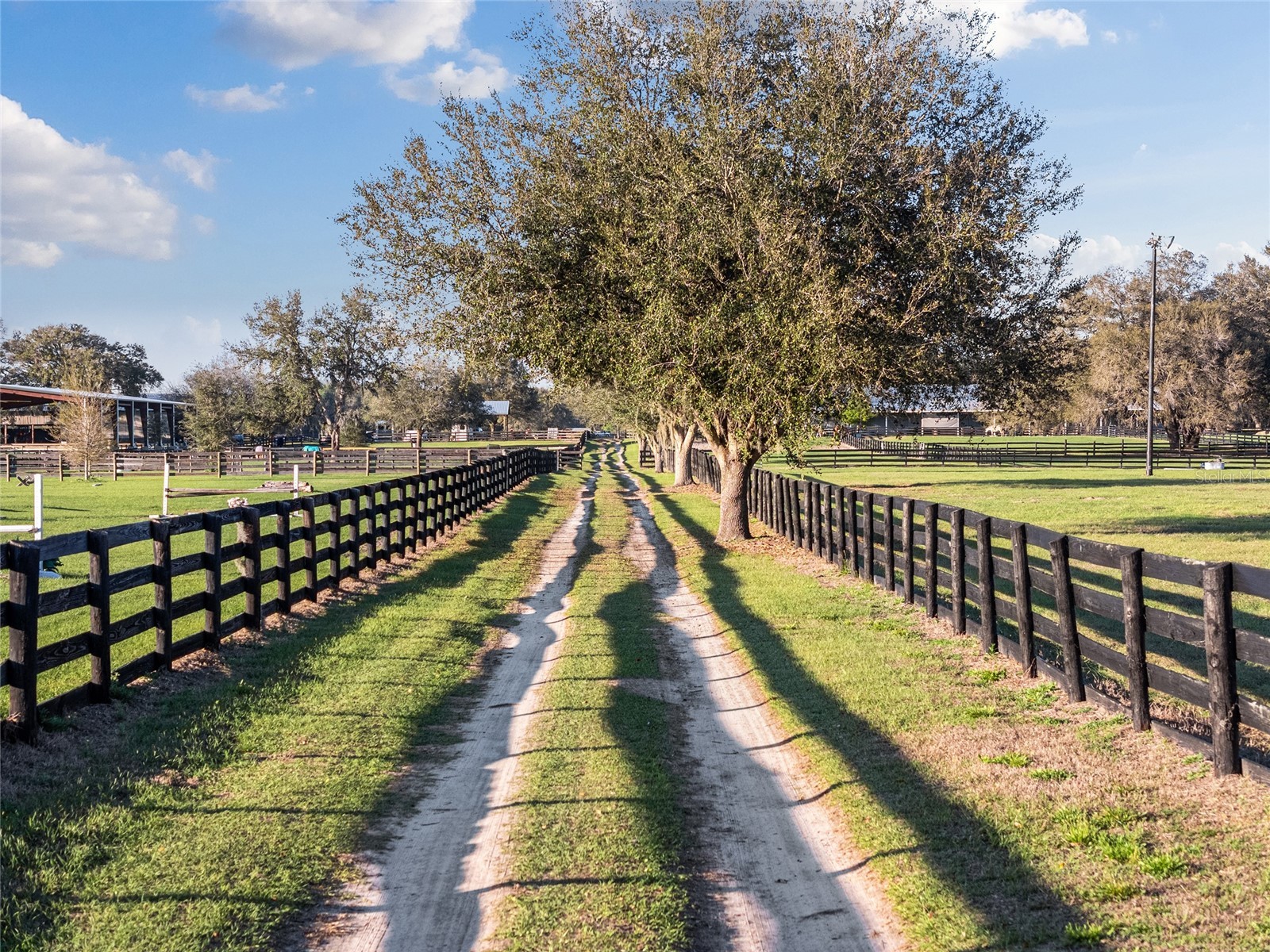 815 SE 145th Street Summerfield FL 34491 G5106690 image42