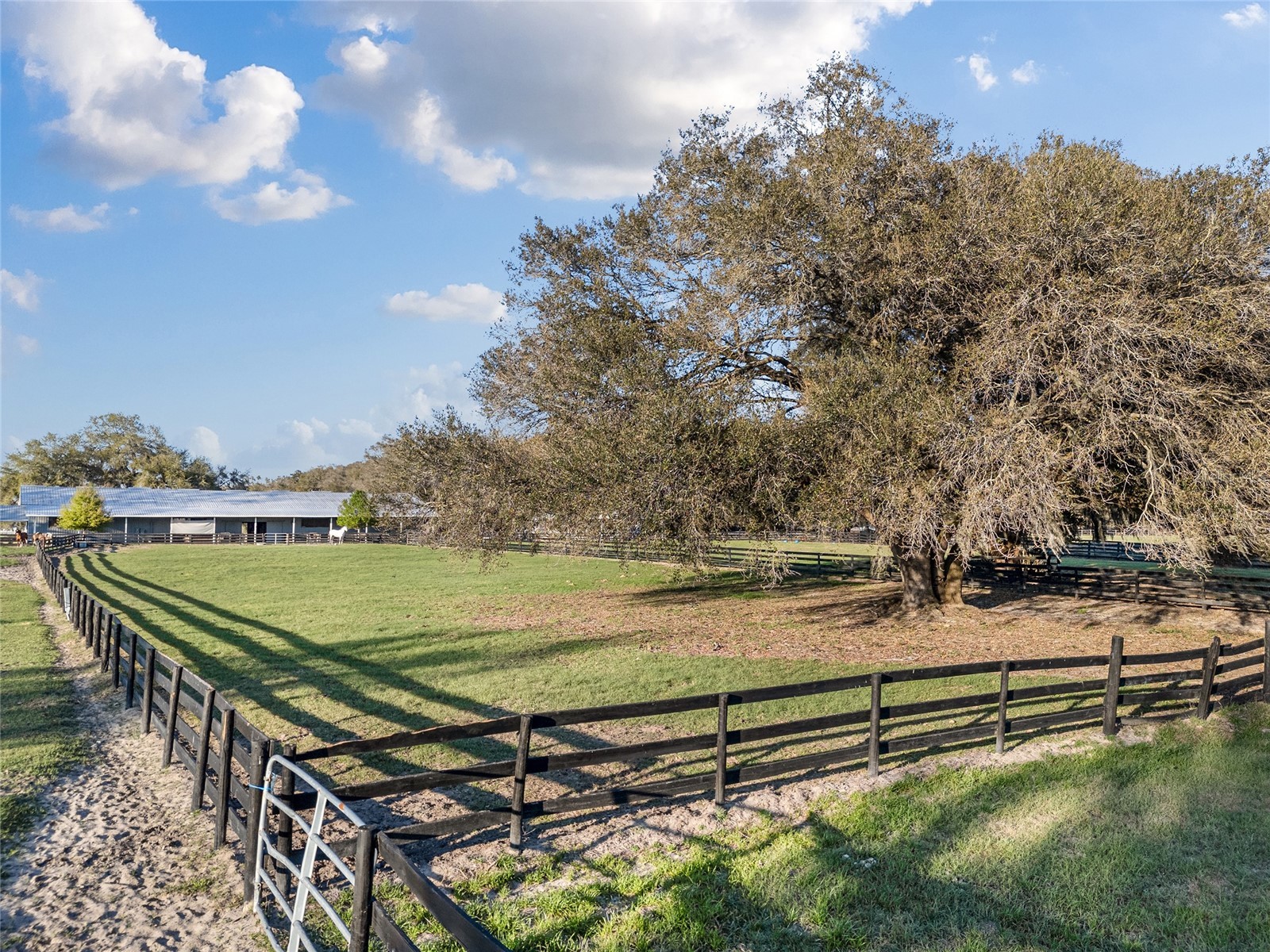 815 SE 145th Street Summerfield FL 34491 G5106690 image52