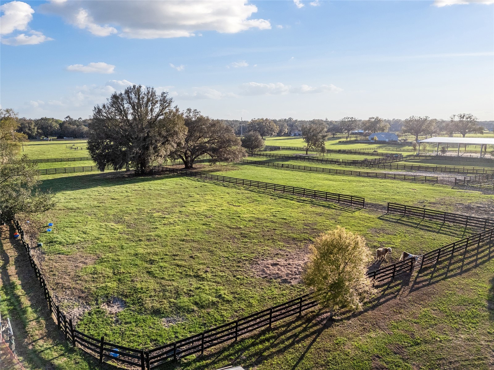 815 SE 145th Street Summerfield FL 34491 G5106690 image53