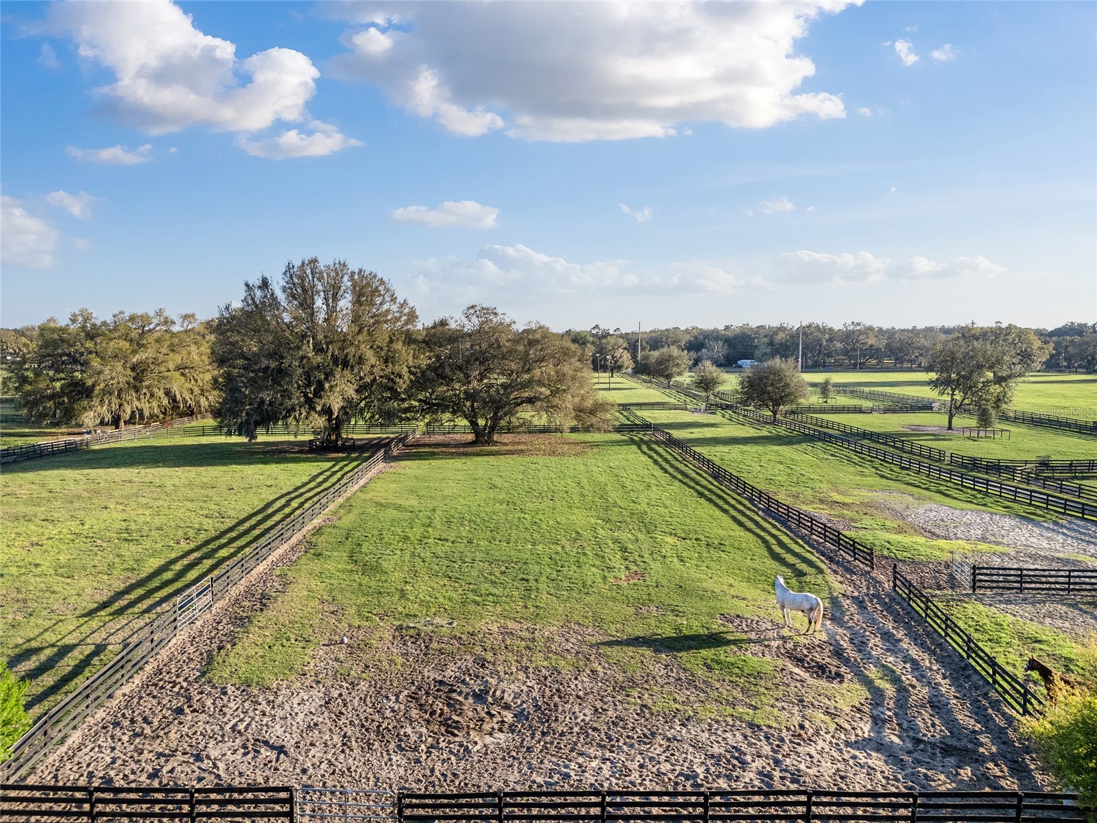 815 SE 145th Street Summerfield FL 34491 G5106690 image54