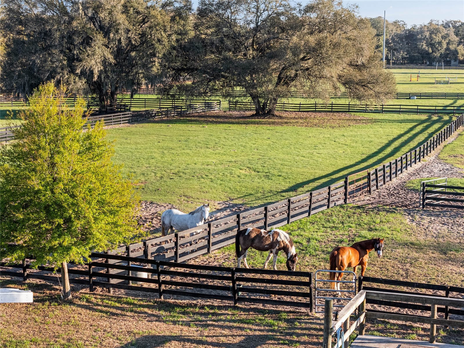 815 SE 145th Street Summerfield FL 34491 G5106690 image56