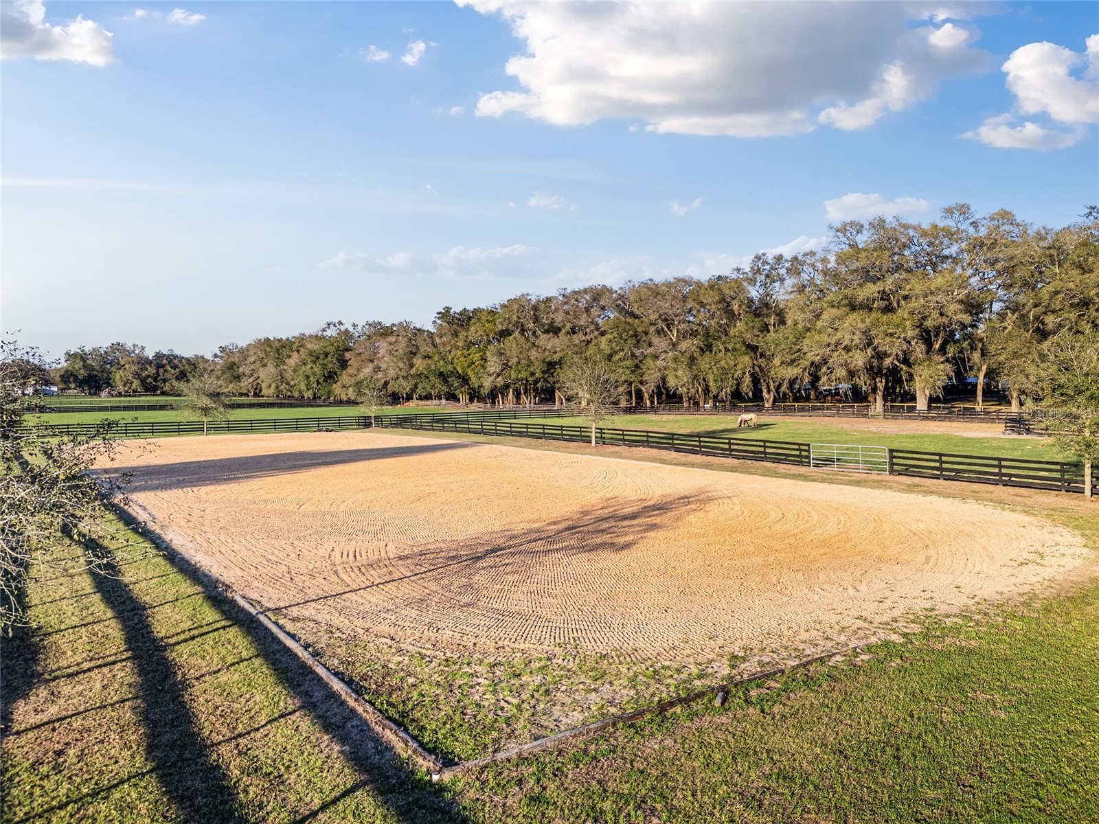 815 SE 145th Street Summerfield FL 34491 G5106690 image61