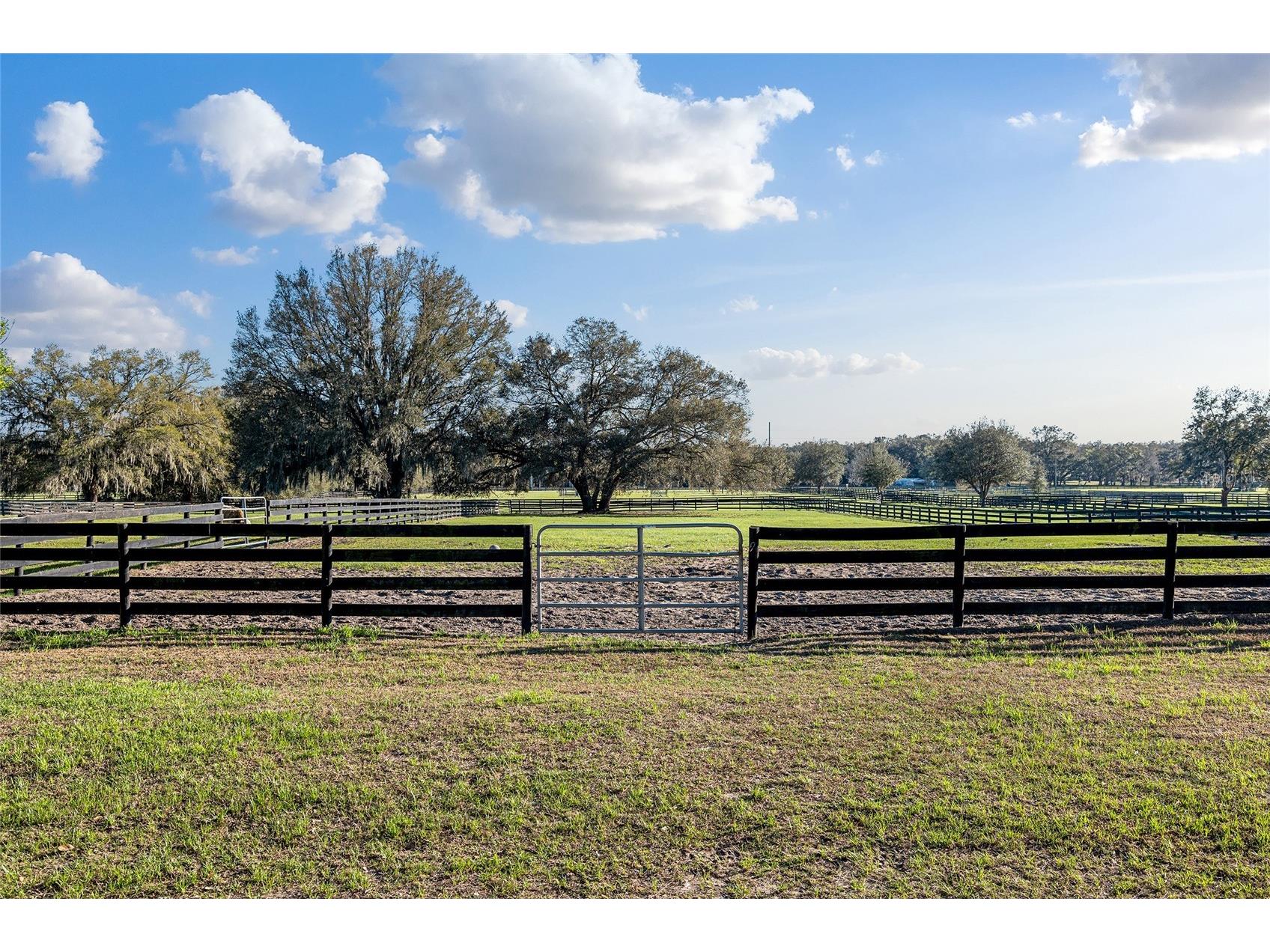 815 SE 145th Street Summerfield FL 34491 G5106690 image8