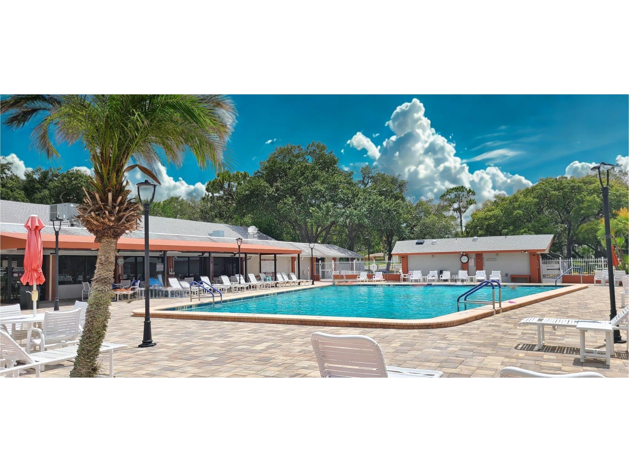 8150 Braddock Circle #3 Port Richey FL 34668 W7885743 image19