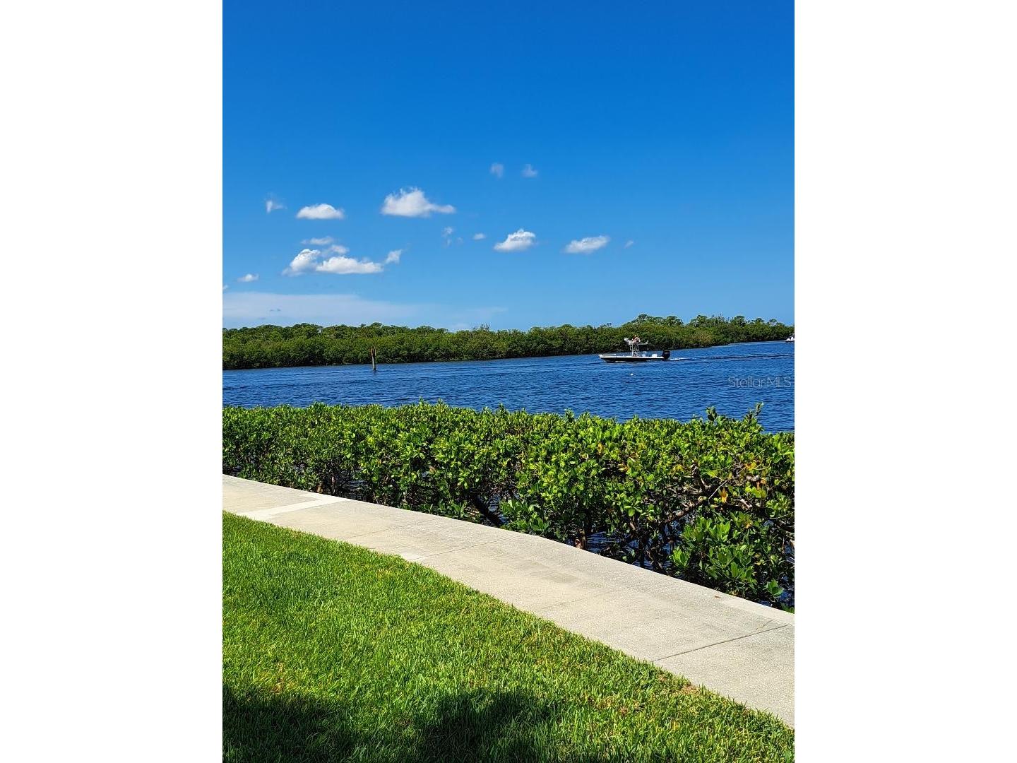 8150 Brent Street #714 Port Richey FL 34668 - COTEE RIVER GULF W7886266 image22