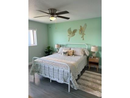 8150 Brent Street #734 Port Richey FL 34668 TB8512864 image23