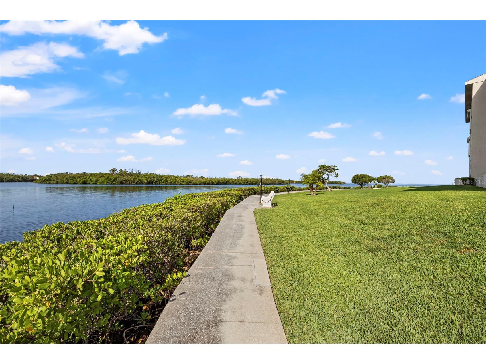 8150 Brent Street #747 Port Richey FL 34668 TB8528684 image36