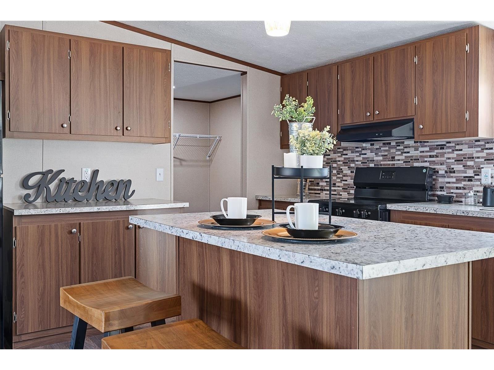 8150 Cherokee Road Bartow FL 33830 L4959312 image14