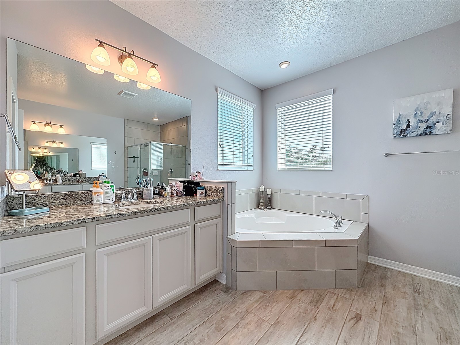 8150 Gray Kingbird Drive Winter Garden FL 34787 O6396729 image35