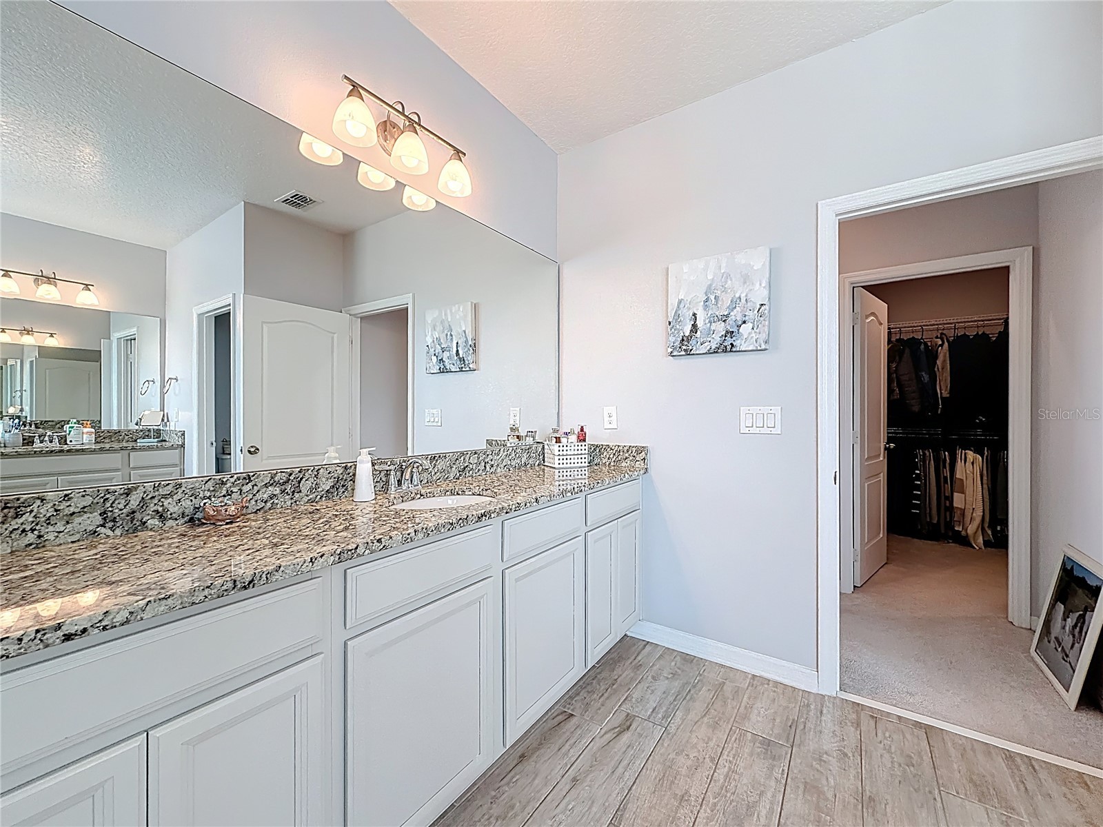 8150 Gray Kingbird Drive Winter Garden FL 34787 O6396729 image38