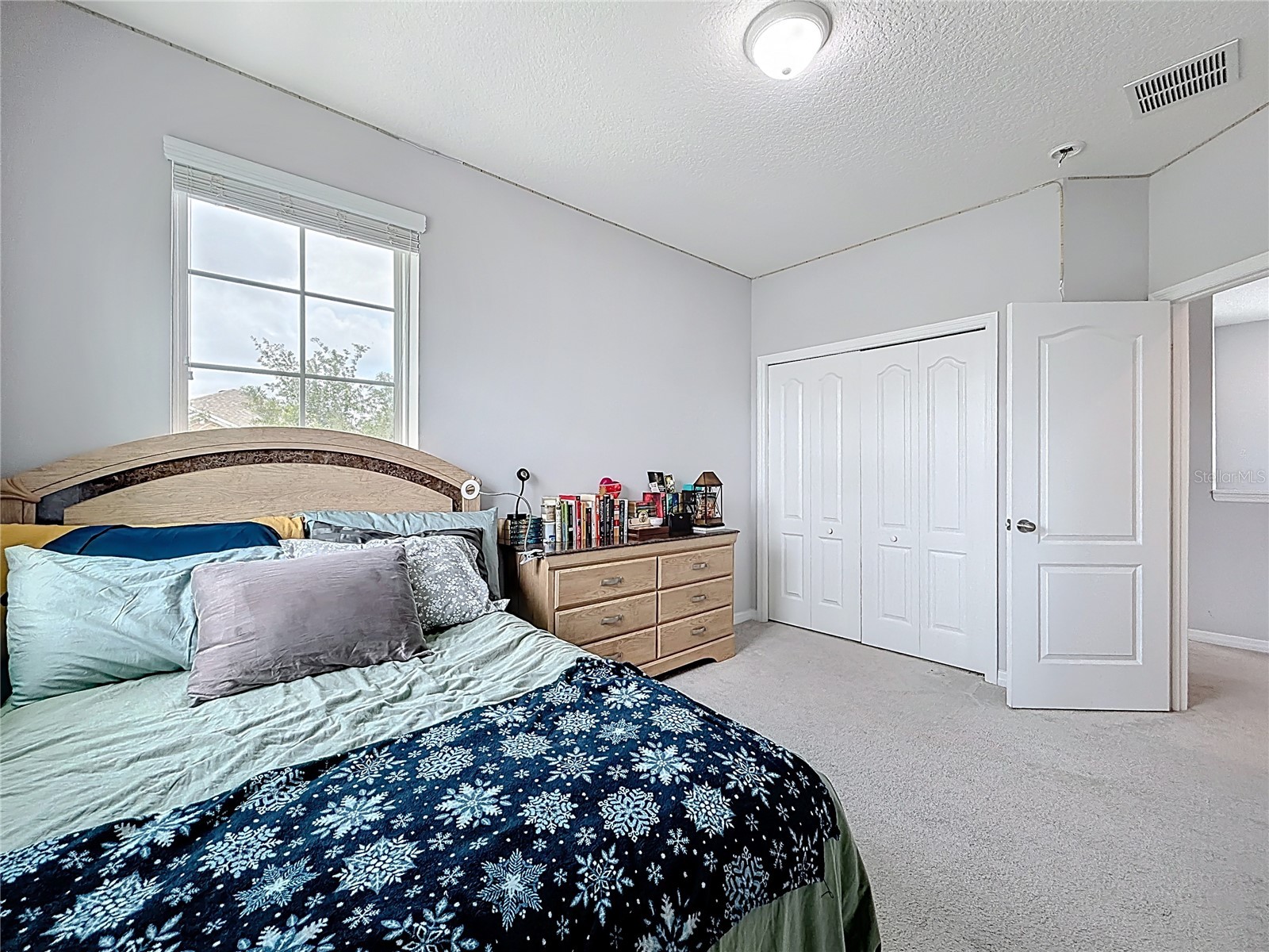 8150 Gray Kingbird Drive Winter Garden FL 34787 O6396729 image44