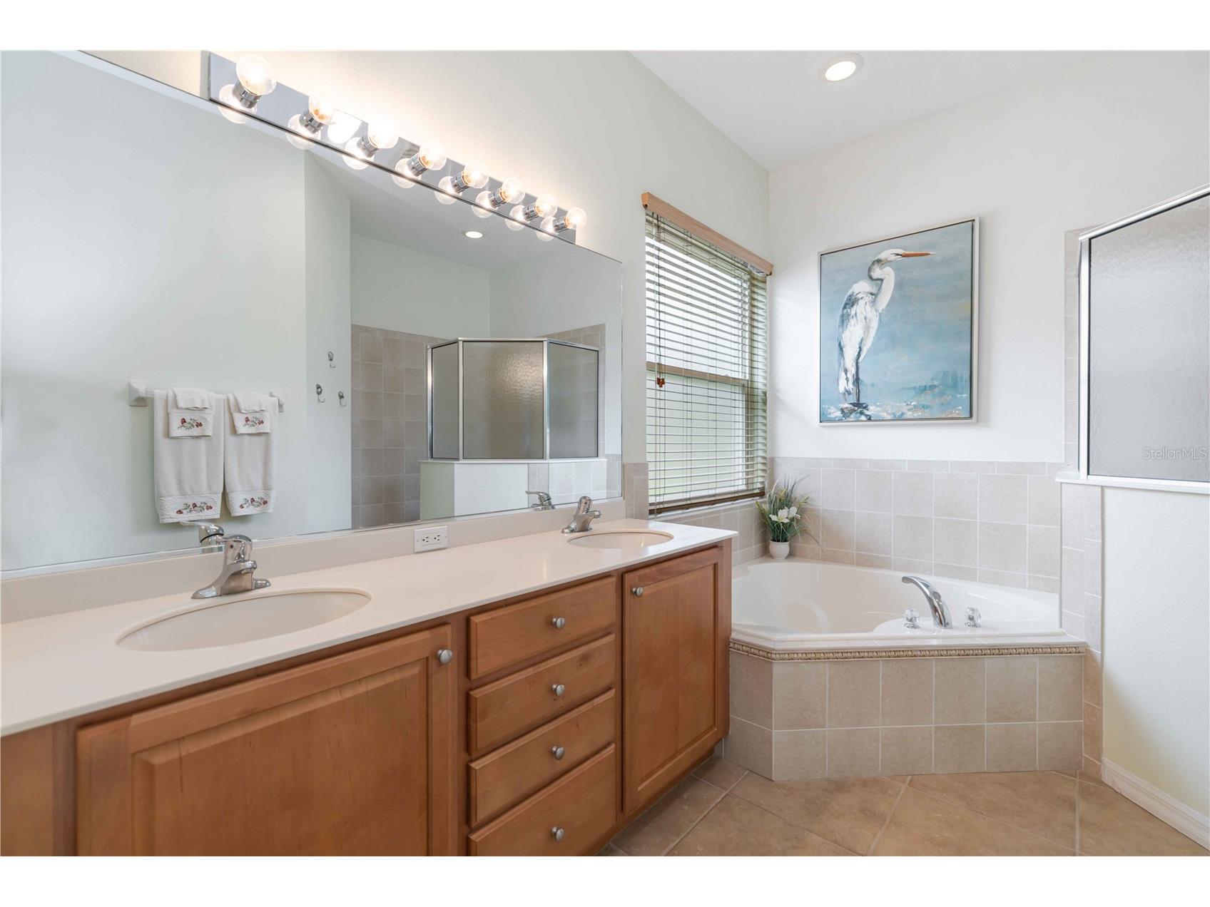 8150 Indigo Ridge Terrace University Park FL 34201 A4683805 image10