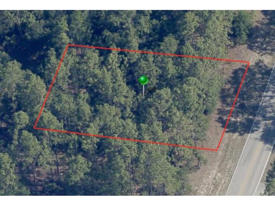 8150 N Santos Drive Citrus Springs FL 34434 A4614279 image2