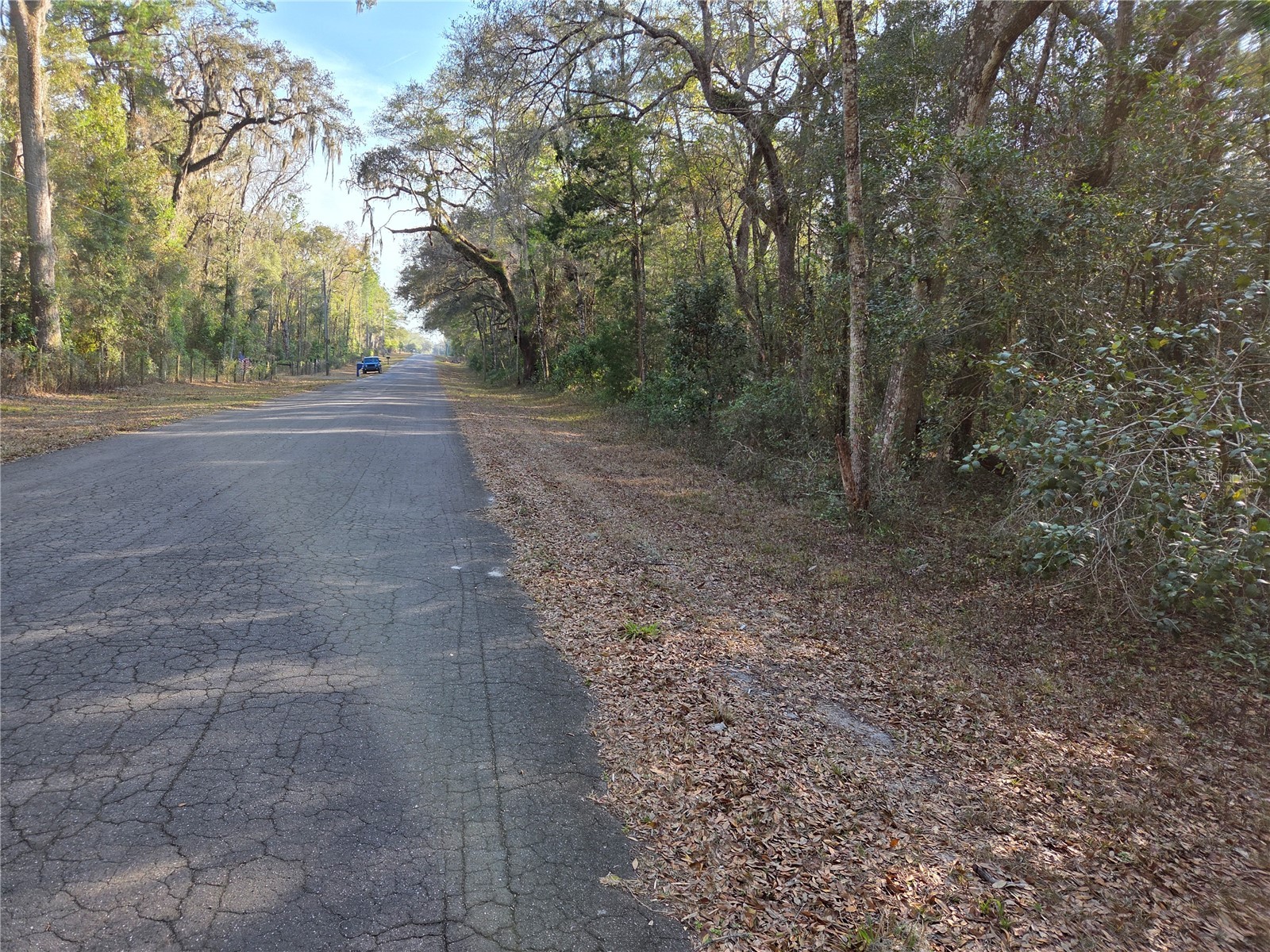 8150 NE 178th Terrace Williston FL 32696 OM719379 image1