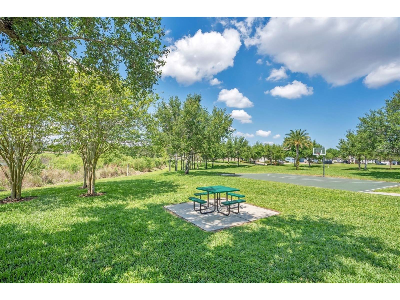 8150 Red Stopper Lane Winter Garden FL 34787 O6416867 image38