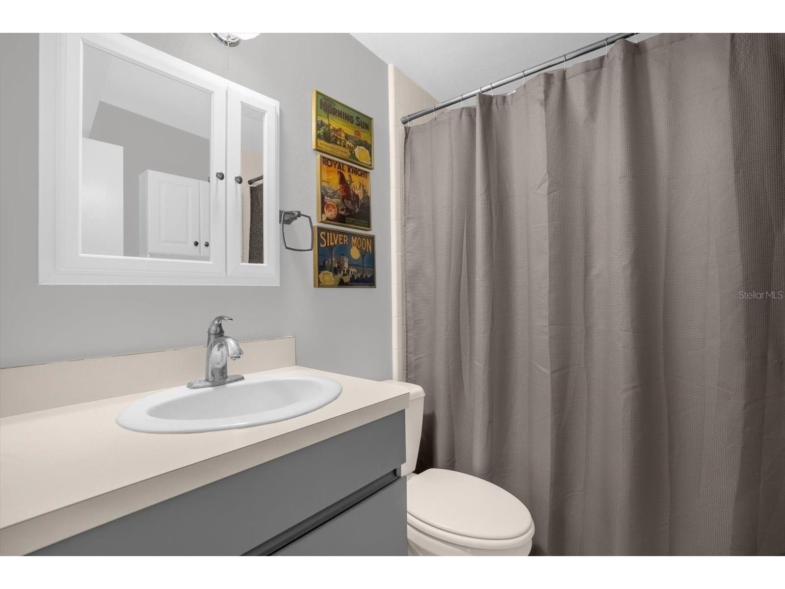 8150 Spring Drive Yalaha FL 34797 - LAKE HARRIS - CHAIN OF LAKES G5107060 image19