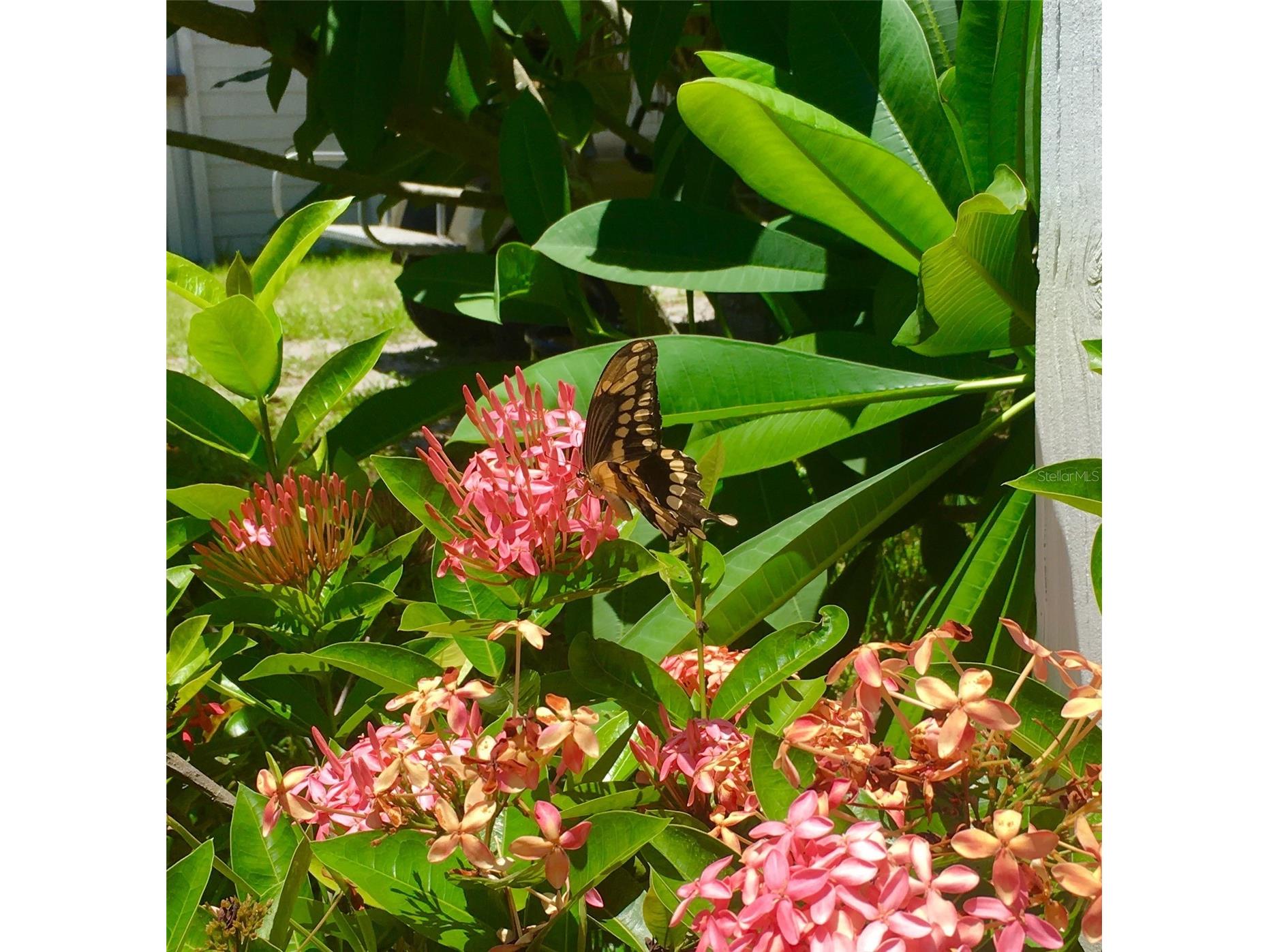 8152 Little Gasparilla Island Placida FL 33946 D6147375 image55