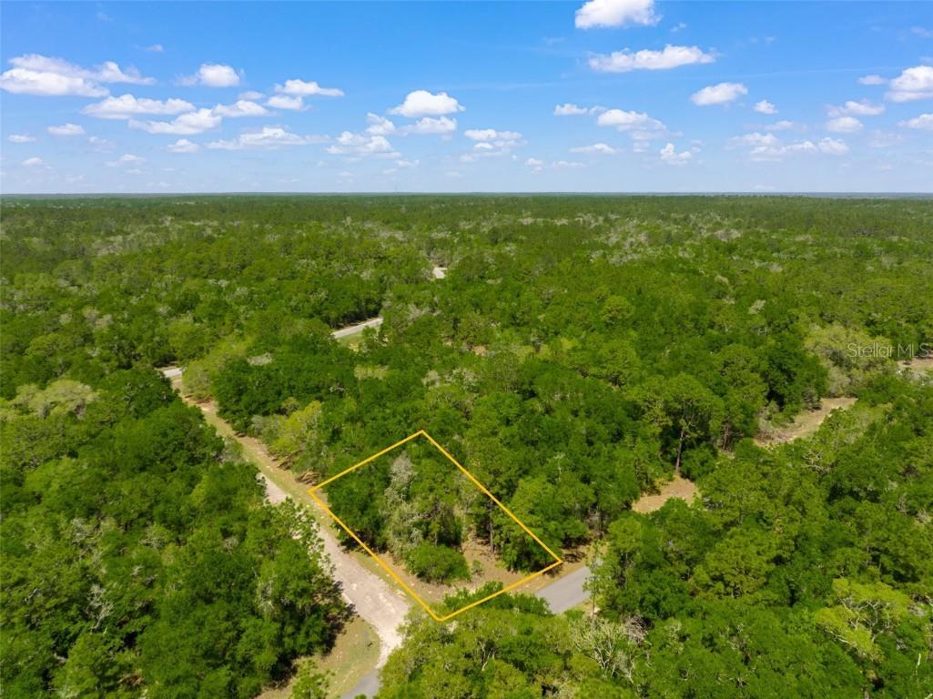 8152 N Yellowbird Avenue Citrus Springs FL 34434 W7844384 image1