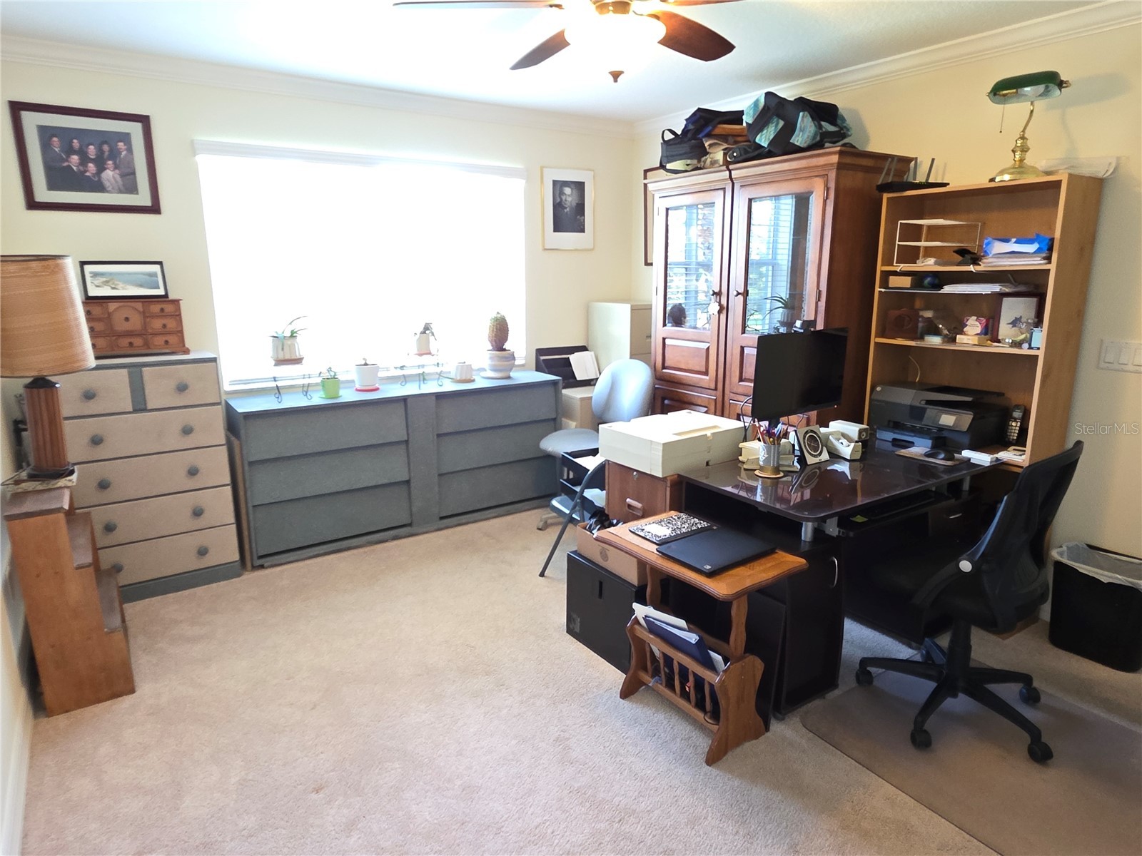 8152 Southern Pines Drive Brooksville FL 34601 W7878658 image15