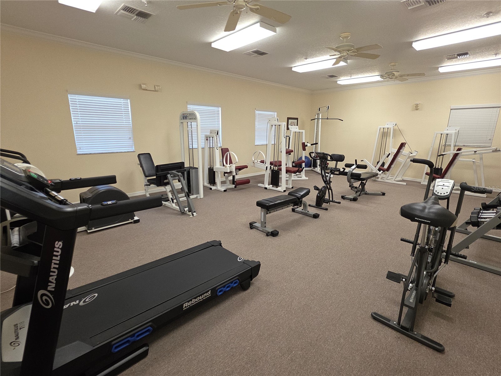 8152 Southern Pines Drive Brooksville FL 34601 W7878658 image29