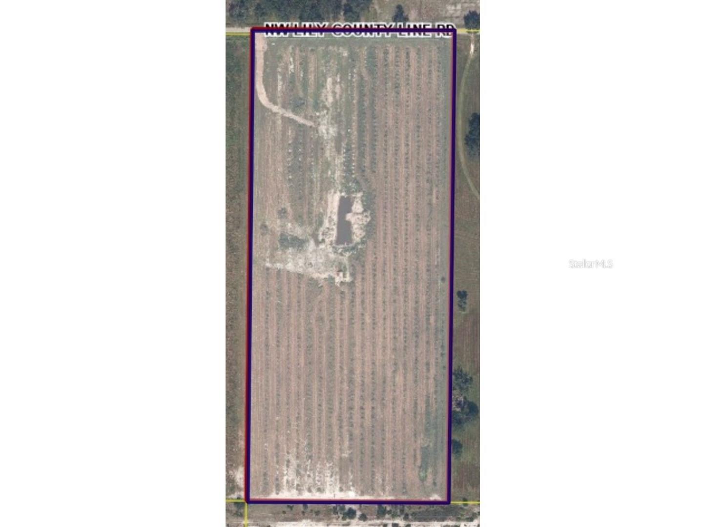 8153 Lily Co Rd Arcadia FL 34266 C7520857 image1